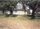 Sod house south of Curtis, Nebraska where Peter Christian Nelsen and his wife Anna Elsie Rossen lived